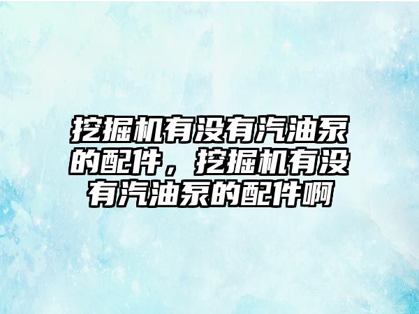 挖掘機有沒有汽油泵的配件，挖掘機有沒有汽油泵的配件啊