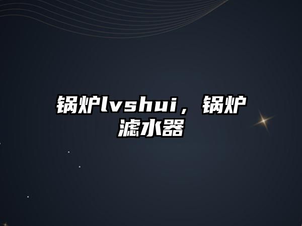 鍋爐lvshui，鍋爐濾水器