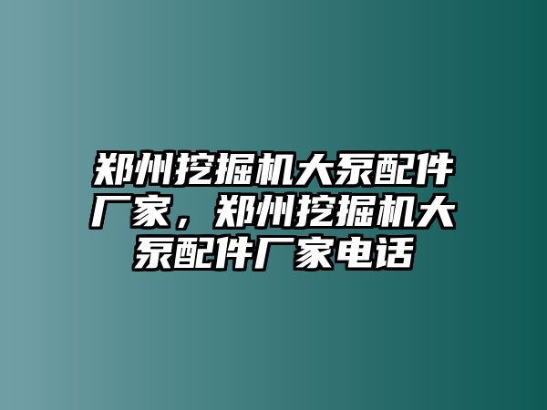 鄭州挖掘機(jī)大泵配件廠家，鄭州挖掘機(jī)大泵配件廠家電話