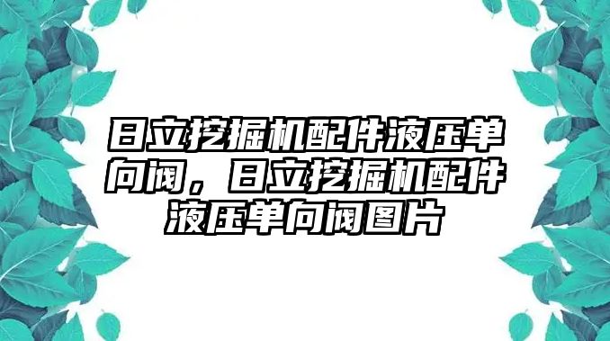 日立挖掘機(jī)配件液壓?jiǎn)蜗蜷y，日立挖掘機(jī)配件液壓?jiǎn)蜗蜷y圖片