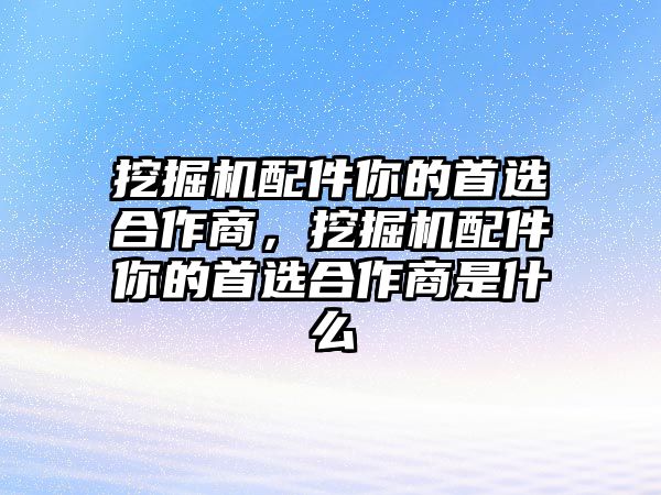 挖掘機配件你的首選合作商，挖掘機配件你的首選合作商是什么