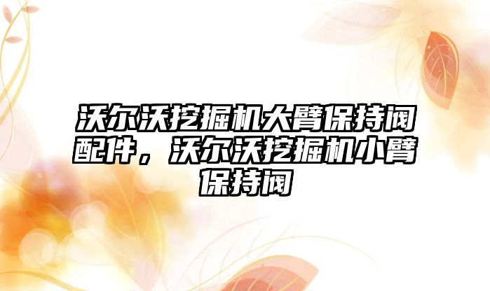 沃爾沃挖掘機大臂保持閥配件，沃爾沃挖掘機小臂保持閥