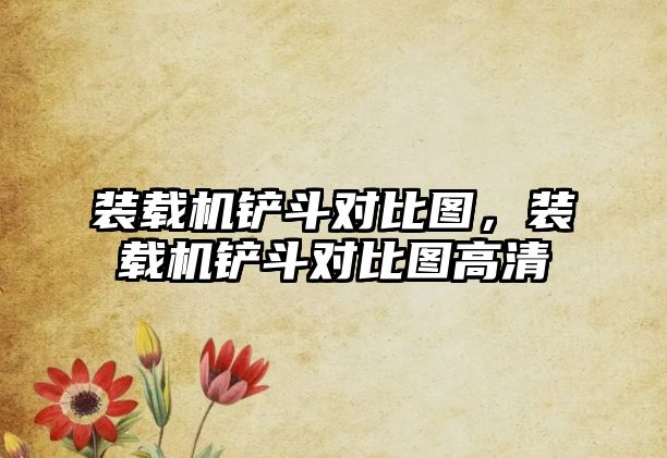 裝載機鏟斗對比圖，裝載機鏟斗對比圖高清