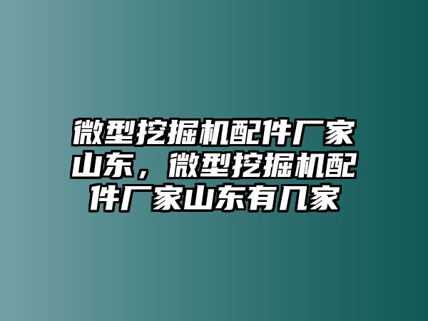 微型挖掘機(jī)配件廠家山東，微型挖掘機(jī)配件廠家山東有幾家