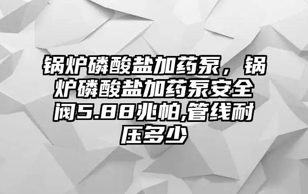 鍋爐磷酸鹽加藥泵，鍋爐磷酸鹽加藥泵安全閥5.88兆帕,管線耐壓多少