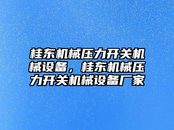 桂東機械壓力開關機械設備，桂東機械壓力開關機械設備廠家