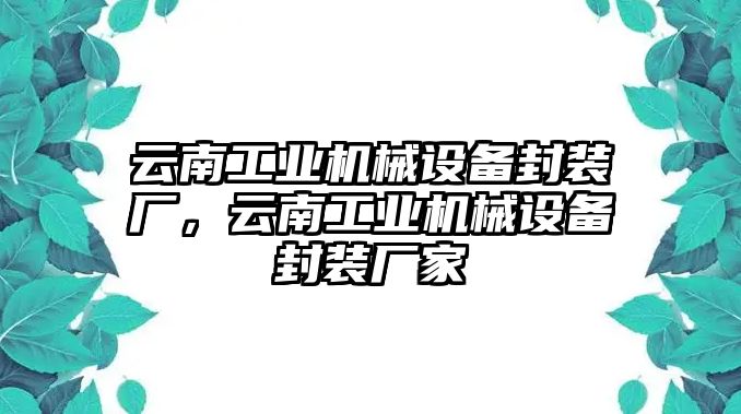 云南工業(yè)機(jī)械設(shè)備封裝廠，云南工業(yè)機(jī)械設(shè)備封裝廠家