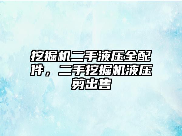 挖掘機二手液壓全配件，二手挖掘機液壓剪出售