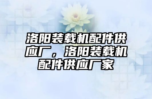 洛陽裝載機(jī)配件供應(yīng)廠，洛陽裝載機(jī)配件供應(yīng)廠家