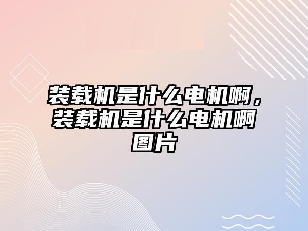 裝載機是什么電機啊，裝載機是什么電機啊圖片