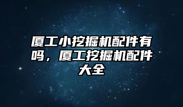 廈工小挖掘機配件有嗎，廈工挖掘機配件大全