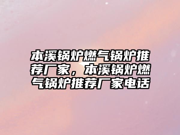 本溪鍋爐燃?xì)忮仩t推薦廠家，本溪鍋爐燃?xì)忮仩t推薦廠家電話