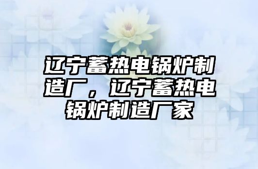 遼寧蓄熱電鍋爐制造廠，遼寧蓄熱電鍋爐制造廠家