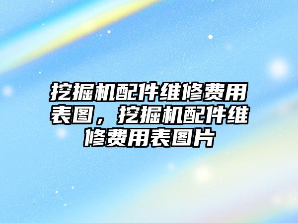 挖掘機(jī)配件維修費(fèi)用表圖，挖掘機(jī)配件維修費(fèi)用表圖片