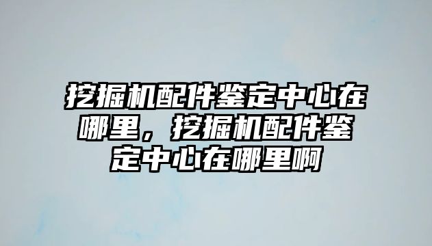 挖掘機配件鑒定中心在哪里，挖掘機配件鑒定中心在哪里啊