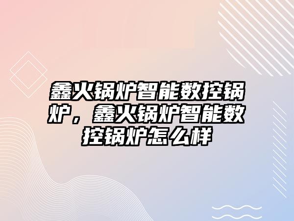 鑫火鍋爐智能數(shù)控鍋爐，鑫火鍋爐智能數(shù)控鍋爐怎么樣