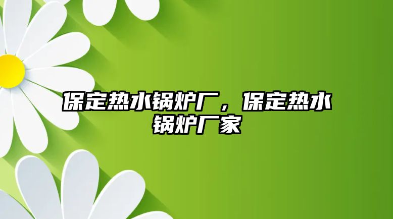 保定熱水鍋爐廠，保定熱水鍋爐廠家