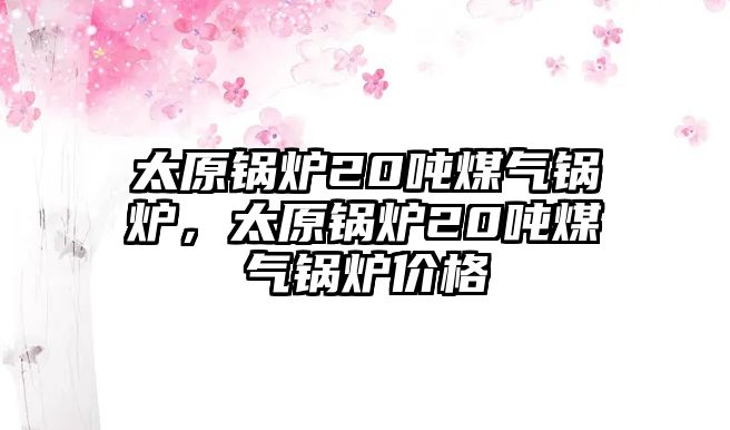 太原鍋爐20噸煤氣鍋爐，太原鍋爐20噸煤氣鍋爐價格