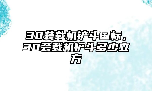 30裝載機鏟斗國標，30裝載機鏟斗多少立方