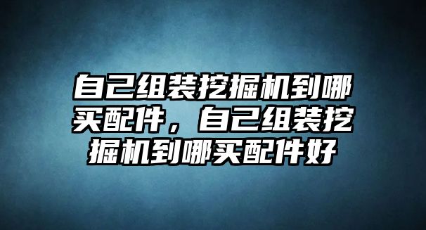 自己組裝挖掘機到哪買配件，自己組裝挖掘機到哪買配件好