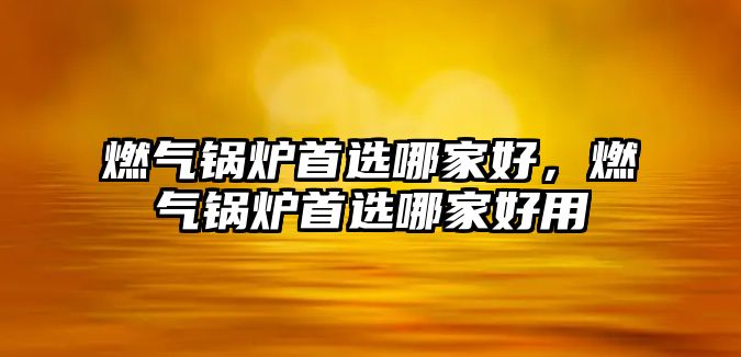 燃?xì)忮仩t首選哪家好，燃?xì)忮仩t首選哪家好用