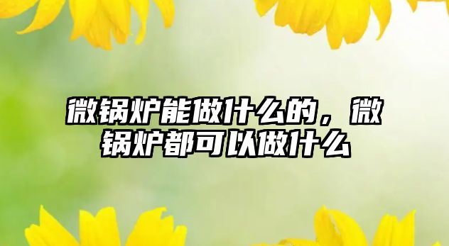 微鍋爐能做什么的，微鍋爐都可以做什么