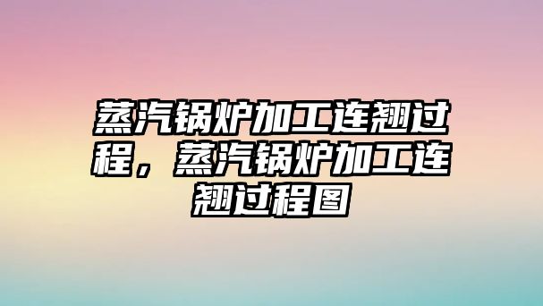 蒸汽鍋爐加工連翹過程，蒸汽鍋爐加工連翹過程圖