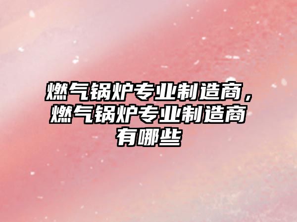 燃氣鍋爐專業(yè)制造商，燃氣鍋爐專業(yè)制造商有哪些