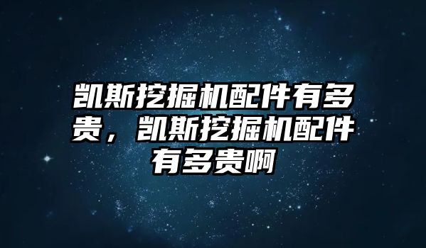 凱斯挖掘機(jī)配件有多貴，凱斯挖掘機(jī)配件有多貴啊