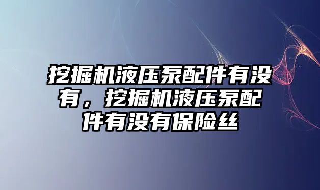 挖掘機液壓泵配件有沒有，挖掘機液壓泵配件有沒有保險絲