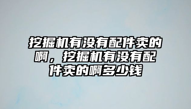 挖掘機(jī)有沒(méi)有配件賣的啊，挖掘機(jī)有沒(méi)有配件賣的啊多少錢