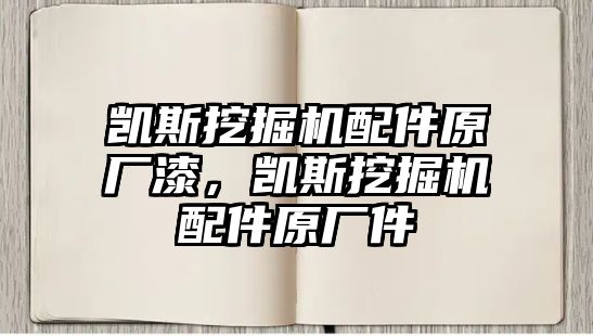 凱斯挖掘機(jī)配件原廠漆，凱斯挖掘機(jī)配件原廠件