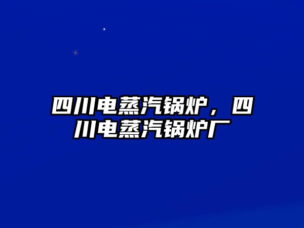 四川電蒸汽鍋爐，四川電蒸汽鍋爐廠