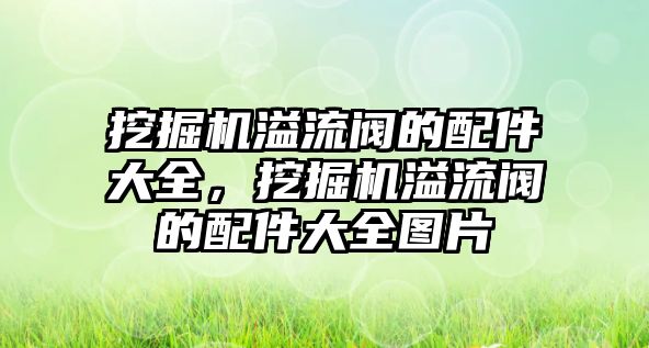 挖掘機(jī)溢流閥的配件大全，挖掘機(jī)溢流閥的配件大全圖片