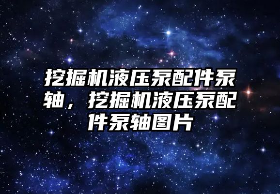 挖掘機液壓泵配件泵軸，挖掘機液壓泵配件泵軸圖片