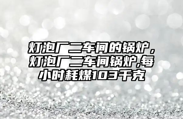 燈泡廠二車間的鍋爐，燈泡廠二車間鍋爐,每小時耗煤103千克