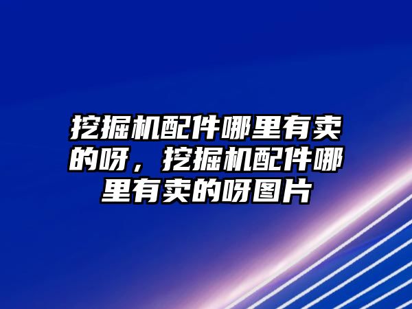 挖掘機(jī)配件哪里有賣的呀，挖掘機(jī)配件哪里有賣的呀圖片