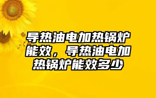 導熱油電加熱鍋爐能效，導熱油電加熱鍋爐能效多少