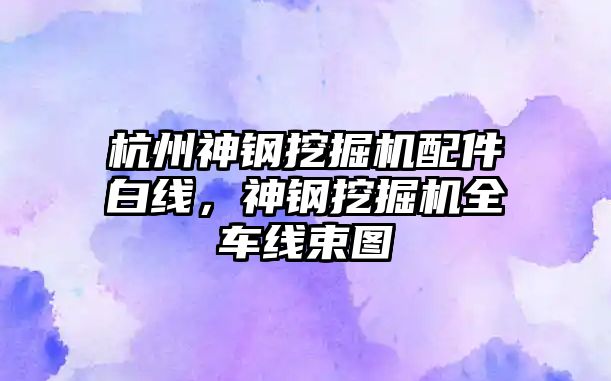 杭州神鋼挖掘機配件白線，神鋼挖掘機全車線束圖