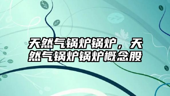 天然氣鍋爐鍋爐，天然氣鍋爐鍋爐概念股