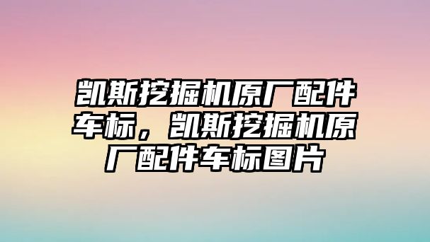 凱斯挖掘機原廠配件車標，凱斯挖掘機原廠配件車標圖片