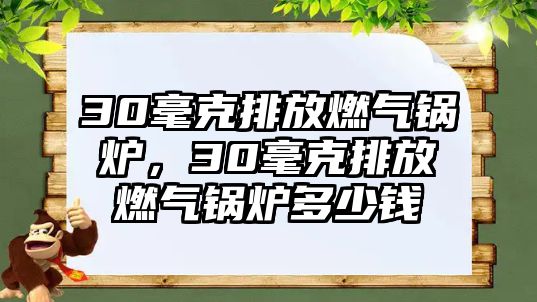 30毫克排放燃氣鍋爐，30毫克排放燃氣鍋爐多少錢