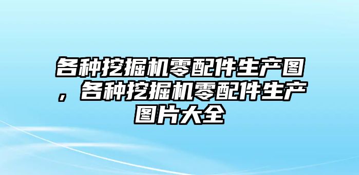 各種挖掘機(jī)零配件生產(chǎn)圖，各種挖掘機(jī)零配件生產(chǎn)圖片大全