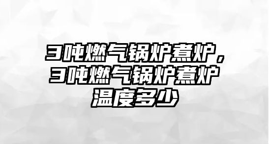 3噸燃?xì)忮仩t煮爐，3噸燃?xì)忮仩t煮爐溫度多少