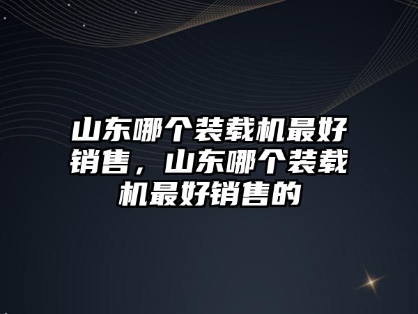 山東哪個裝載機最好銷售，山東哪個裝載機最好銷售的