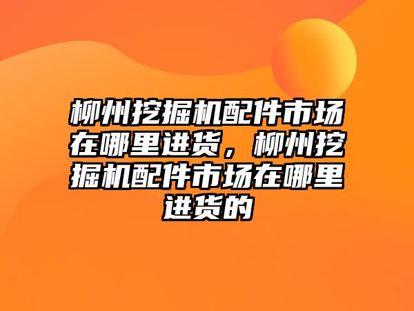 柳州挖掘機配件市場在哪里進(jìn)貨，柳州挖掘機配件市場在哪里進(jìn)貨的