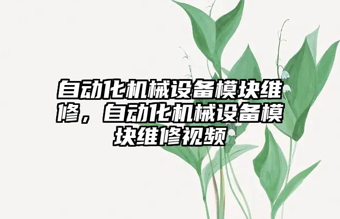 自動化機械設(shè)備模塊維修，自動化機械設(shè)備模塊維修視頻