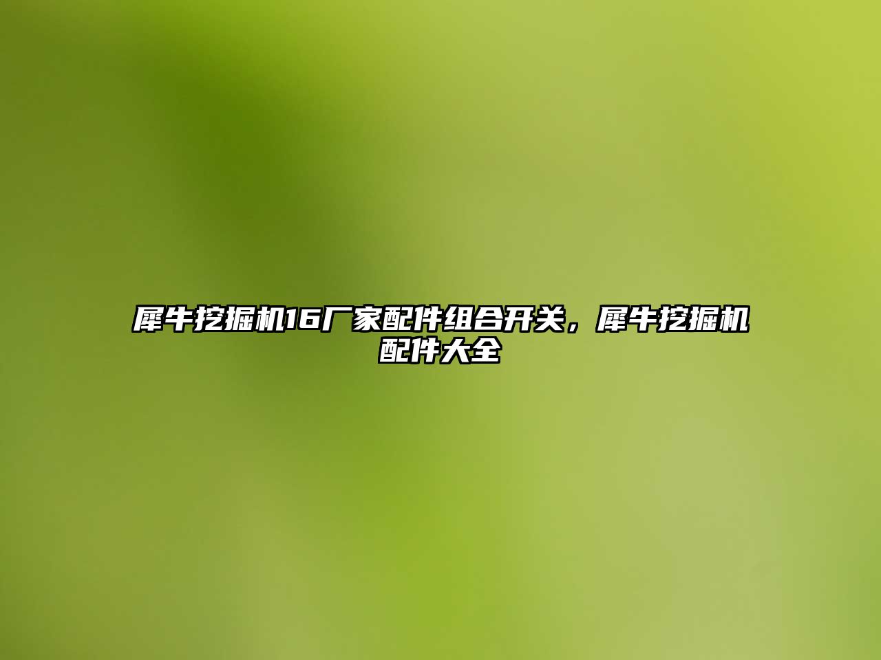 犀牛挖掘機16廠家配件組合開關，犀牛挖掘機配件大全