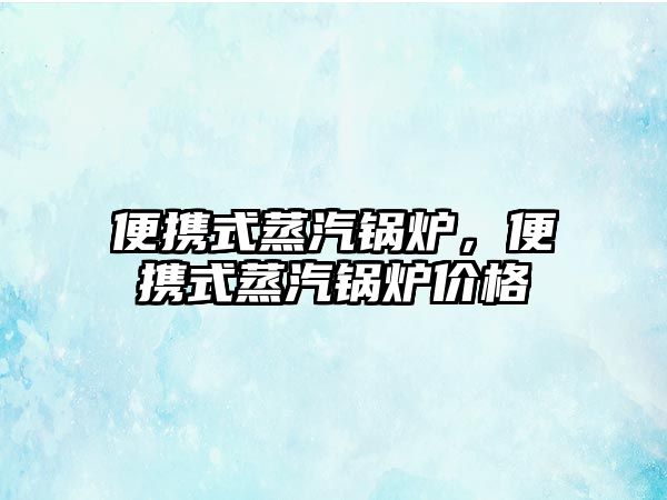 便攜式蒸汽鍋爐，便攜式蒸汽鍋爐價格