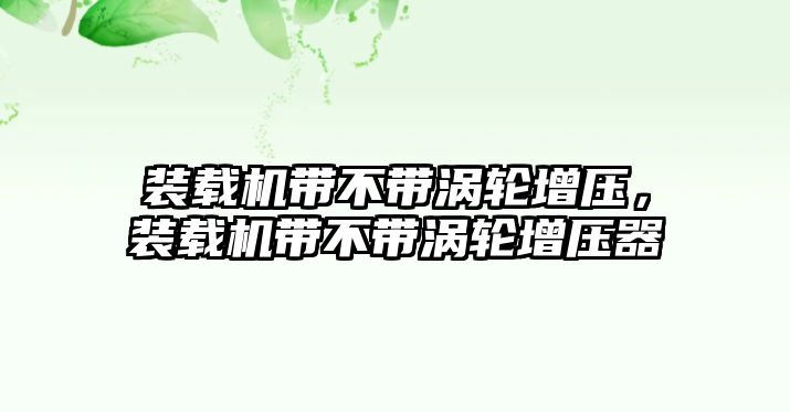 裝載機(jī)帶不帶渦輪增壓，裝載機(jī)帶不帶渦輪增壓器